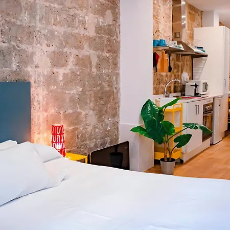 Loft Independiente Con Piscina Compartida En Centro De ולנסיה